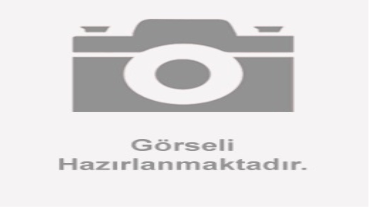 YAĞ POMPA DİŞLİ SACI (BLUEBERRY)